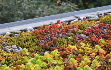 the cost of Stebbing Green green roof installation