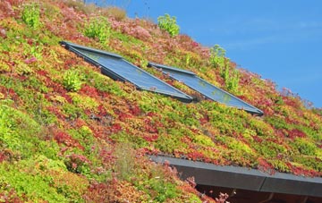 Stebbing Green living roof systems