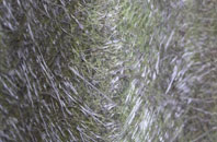 Stebbing Green fibreglass roof work